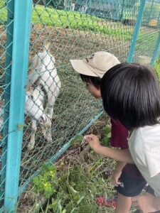 恵庭の学童保育アフターキッズかしわのどんぐり広場写真2025年夏休み1